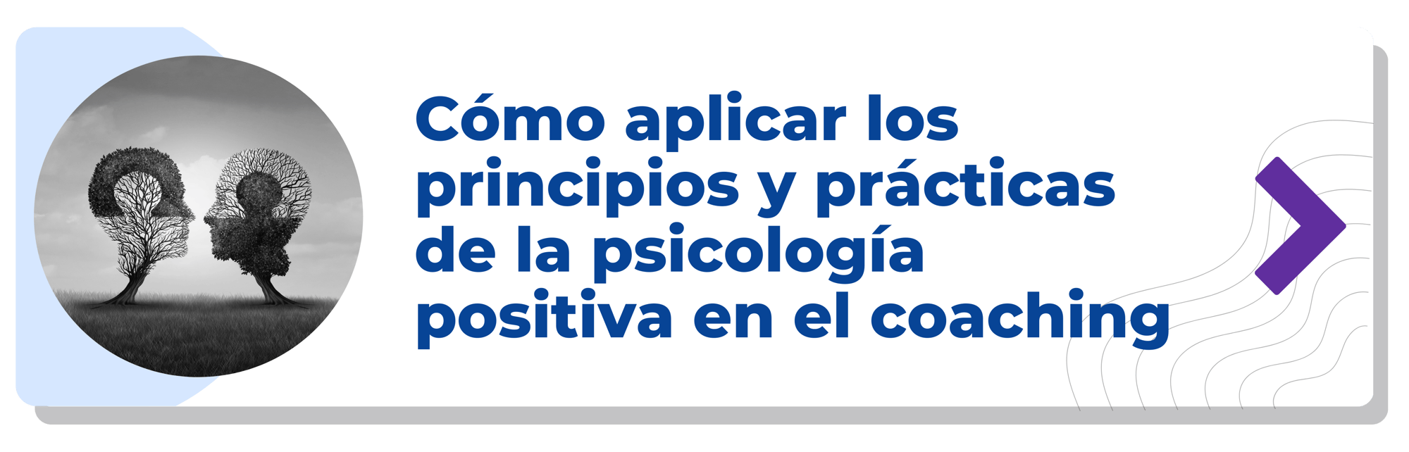 Cómo aplicar los principios y prácticas de la psicología positiva en el coaching-min