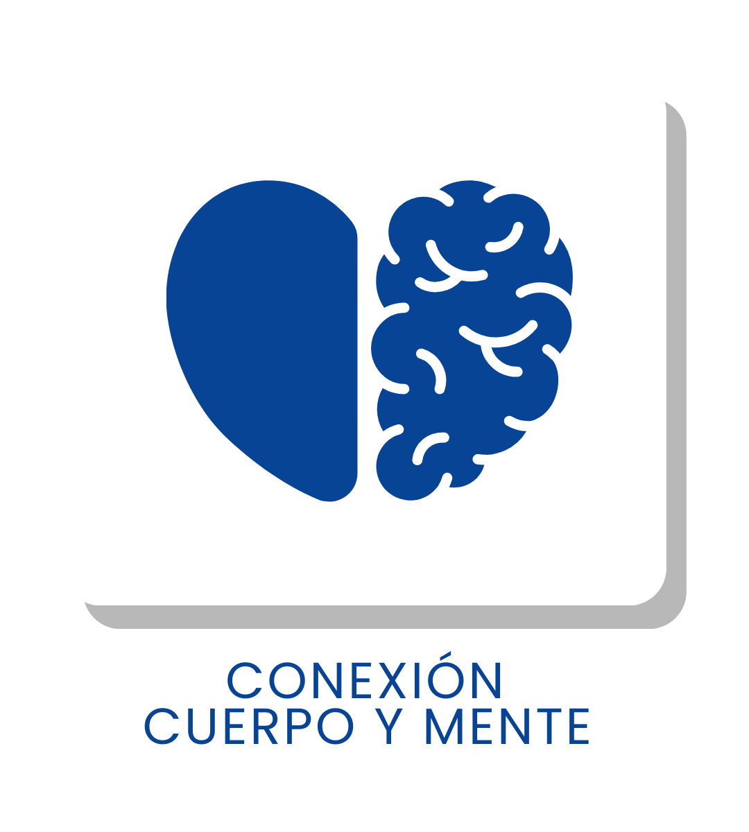 CONEXIÓN CUERPO Y MENTE