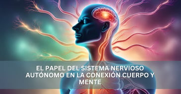 El papel del sistema nervioso autónomo en la conexión cuerpo y mente