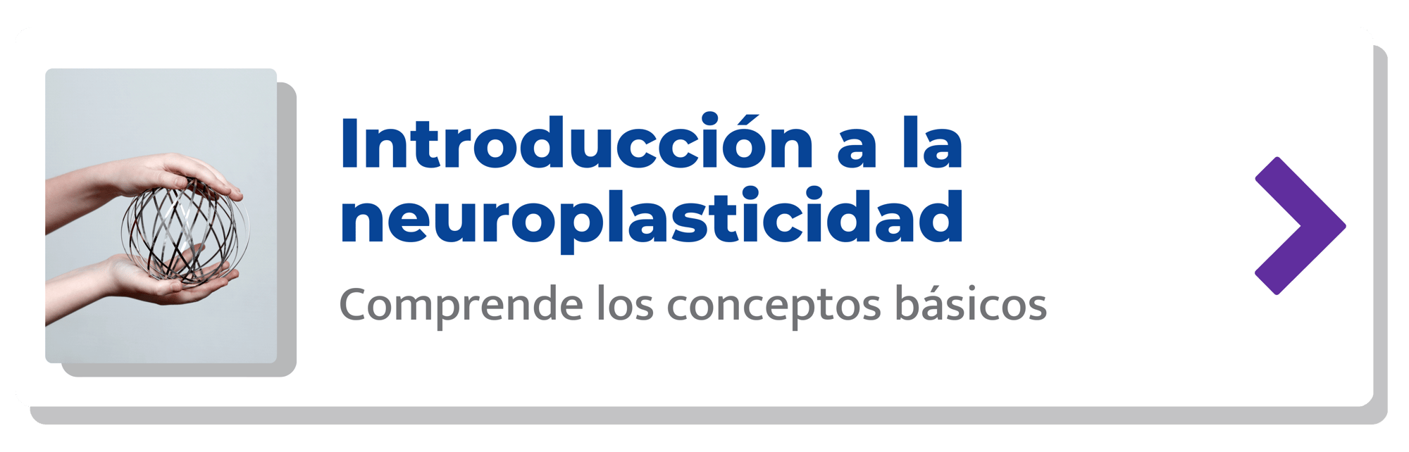 Introducción a la Neuroplasticidad-min