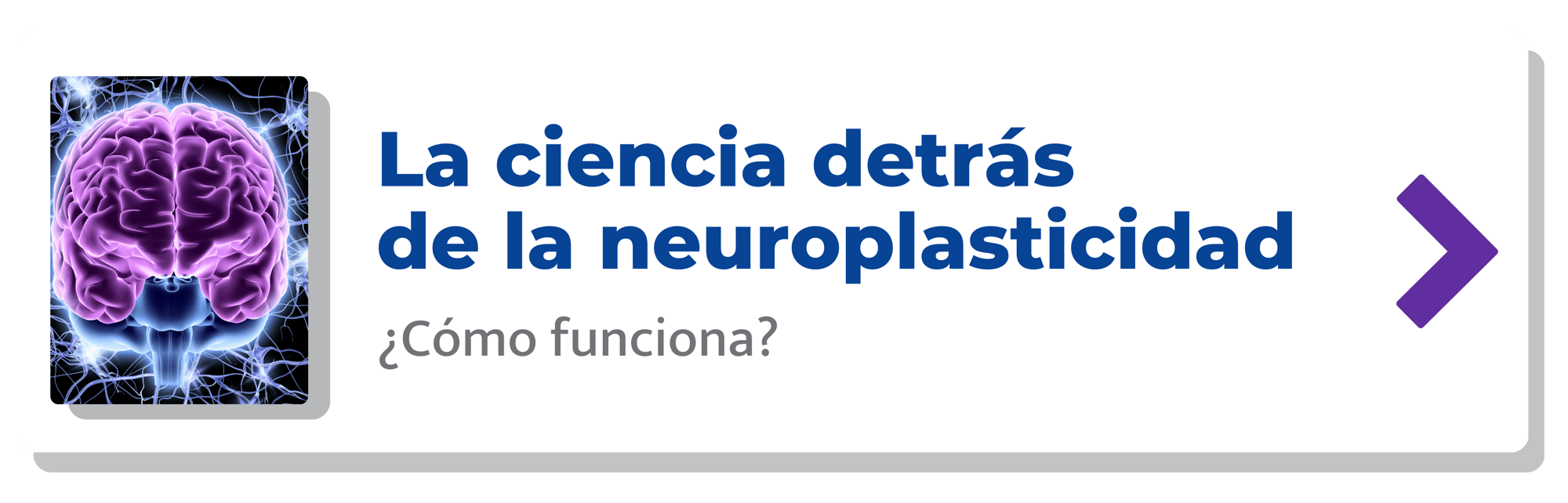 La ciencia detrás de la neuroplasticidad-min