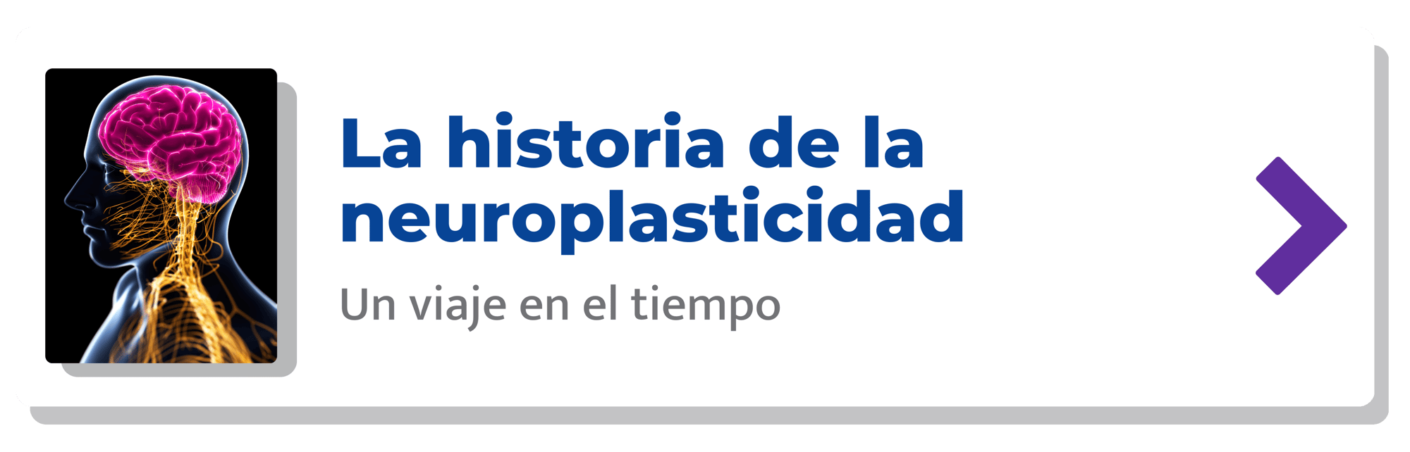 La historia de la neuroplasticidad-min