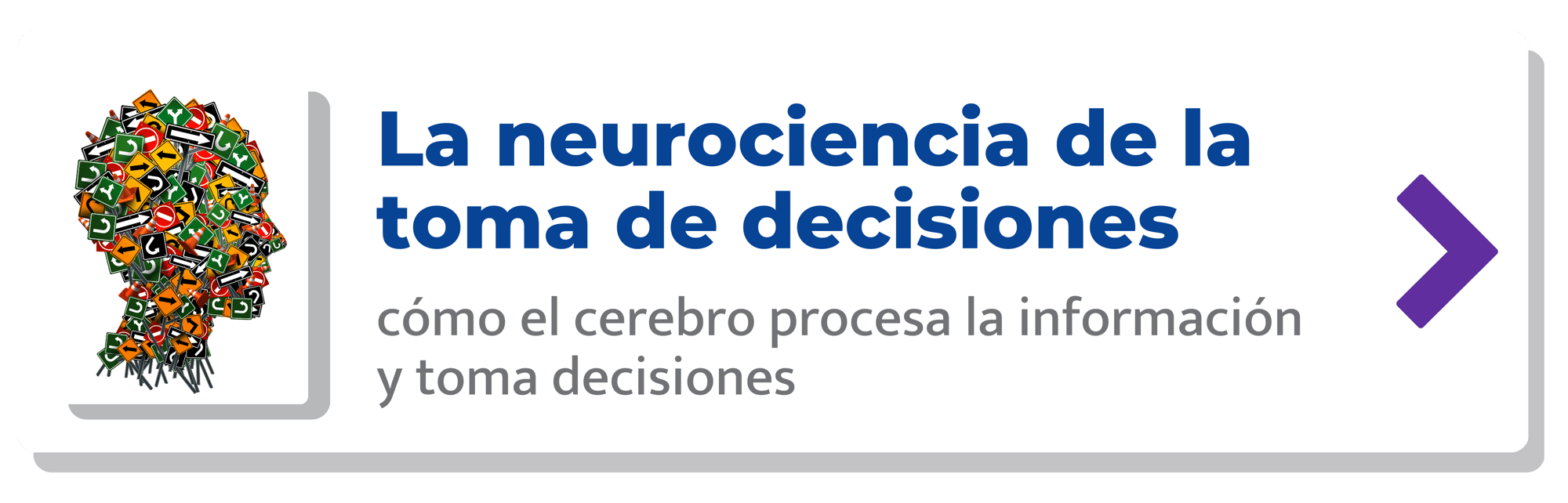 La neurociencia de la toma de  decisiones-min