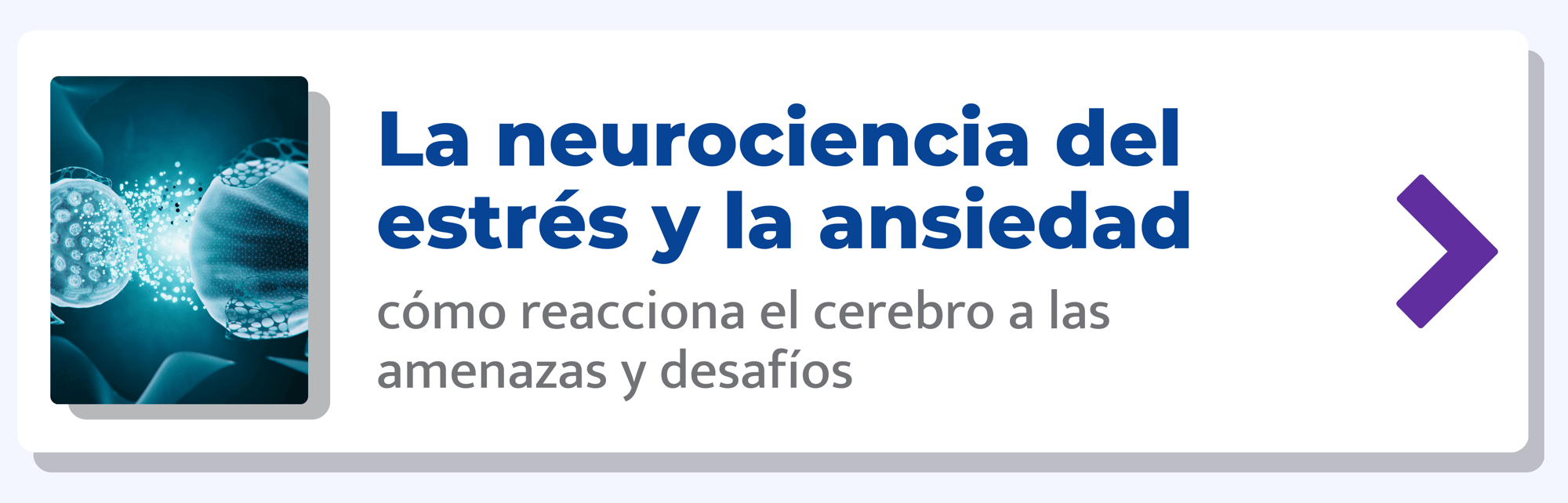 La neurociencia del estrés y la ansiedad-min