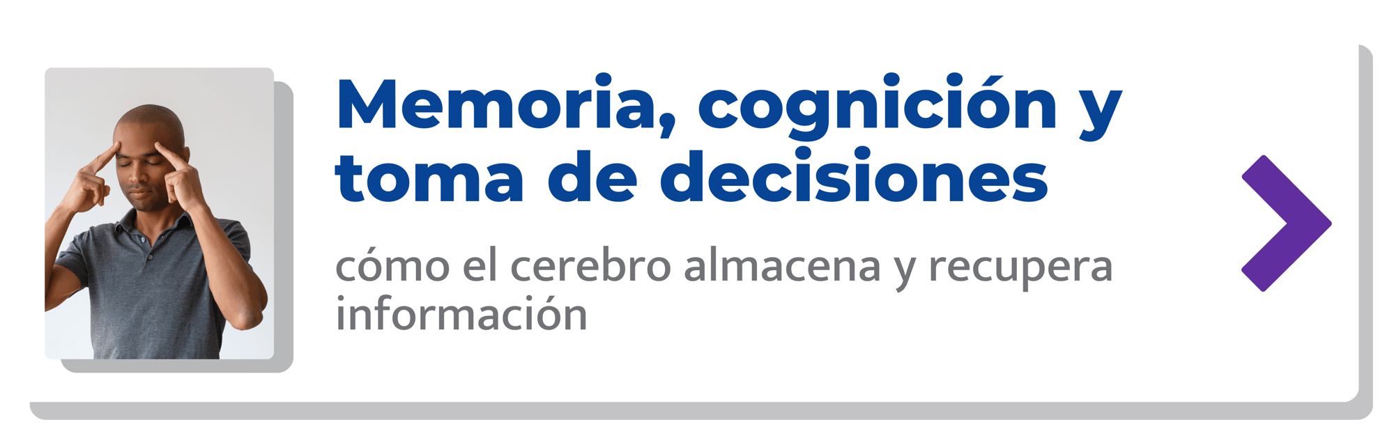 Memoria, cognición y toma de decisiones-min