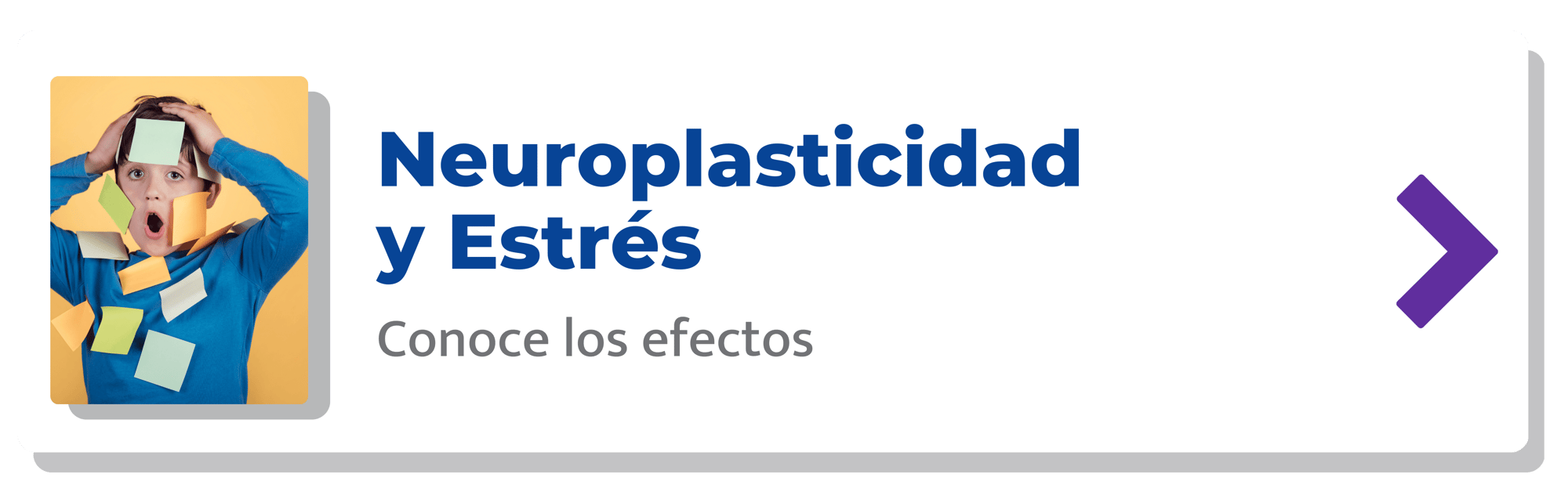 Neuroplasticidad y Estrés-min