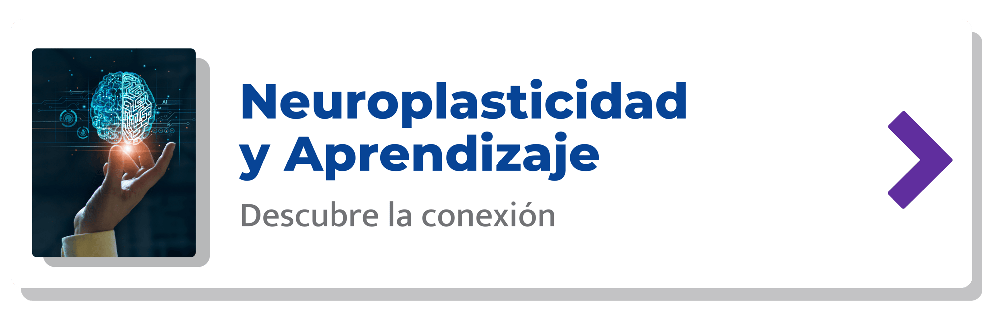 Neuroplasticidad y aprendizaje-min