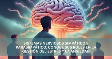 Sistemas nerviosos simpático y parasimpático: conoce sus roles en la gestión del estrés y la ansiedad