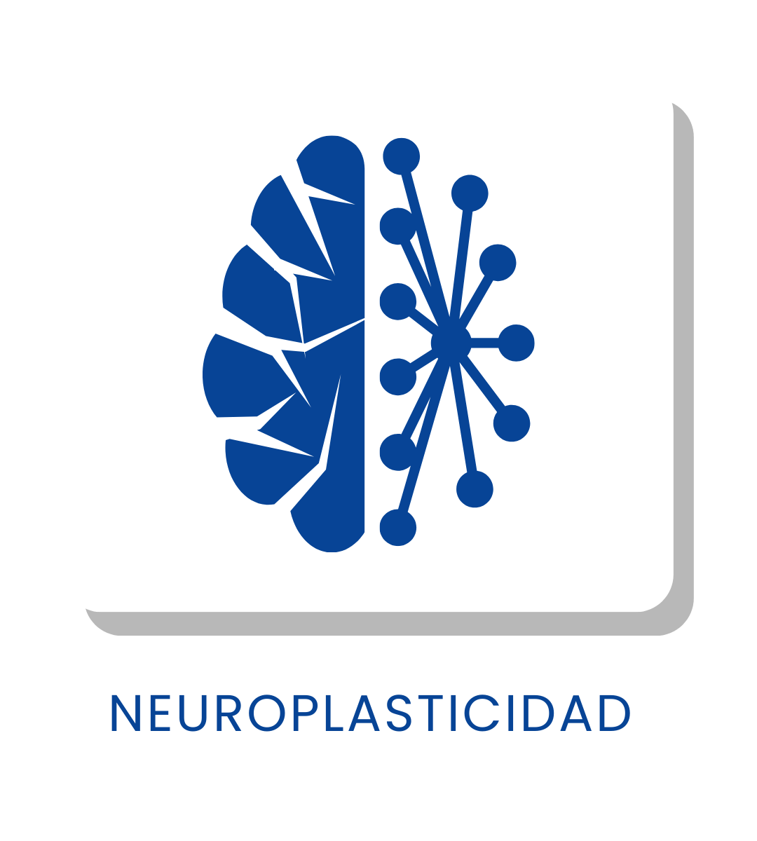 NEUROPLASTICIDAD